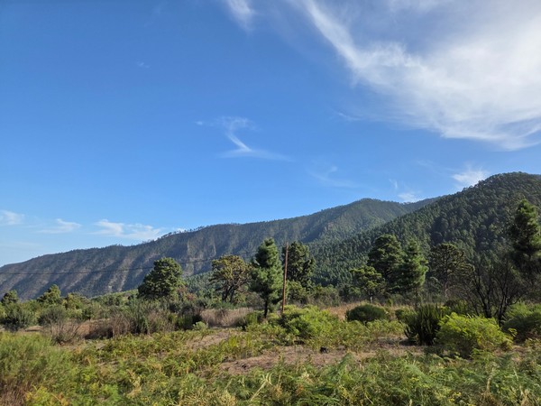 Crêtes et pentes couvertes de pins au-dessus d’Aguamansa, sous un ciel clair.