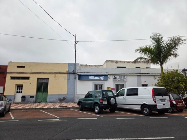 Devanture d’un bureau Allianz et d’un cabinet de gestion, avec parkings en épi et palmiers le long de la rue.