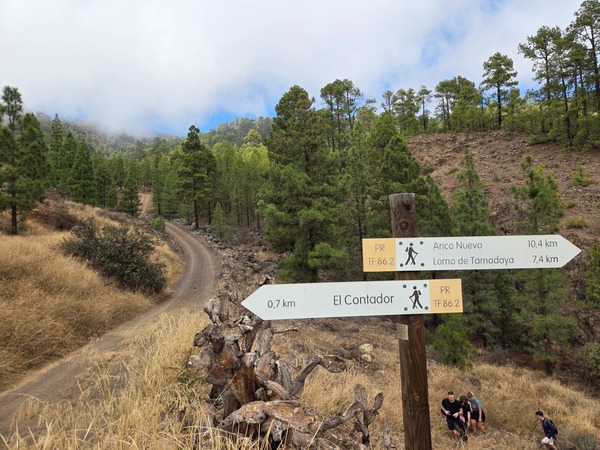 Poteau directionnel du PR TF-86.2 indiquant El Contador, Arico Nuevo et Lomo de Tamadaya.