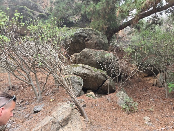 Affleurements de roches et végétation xérophile au bord du sentier d’El Contador.