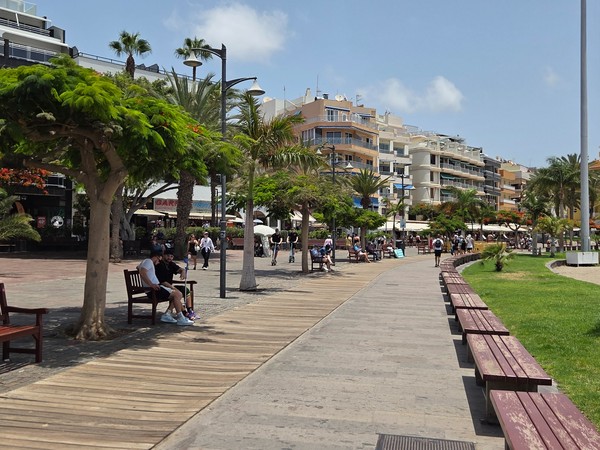 Promenade maritime bordée de palmiers, de terrasses et de bancs à Los Cristianos.
