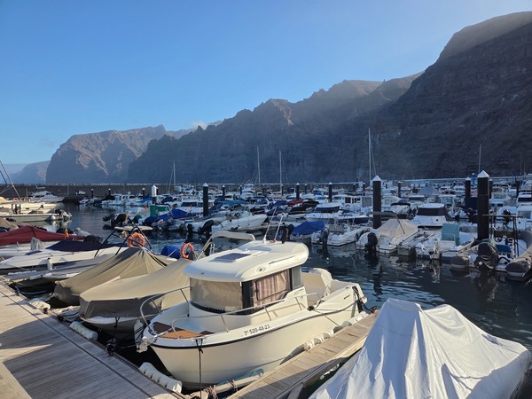 Pontons de la marina Multiples pontons remplis de bateaux à Los Gigantes, vue vers la jetée principale.