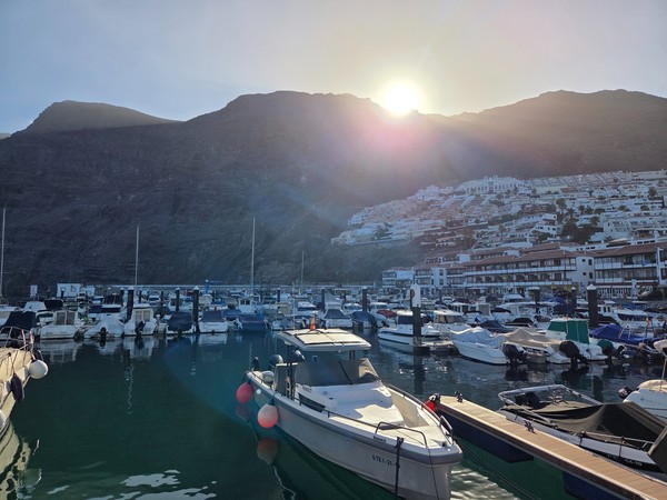 Los Gigantes depuis la marina Quartiers en terrasses de Los Gigantes au-dessus de la marina au soleil couchant.