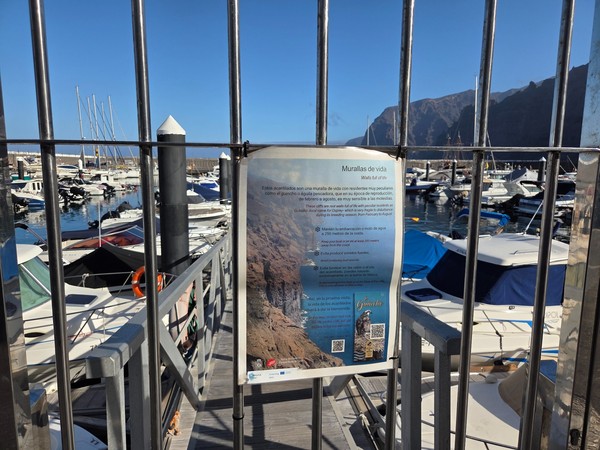 Murallas de vida Panneau d’information « Murallas de vida » rappelant la protection de la faune des falaises de Los Gigantes.