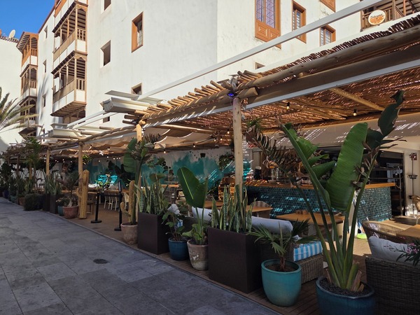 Grande terrasse végétalisée d’un restaurant à proximité immédiate de la plage.