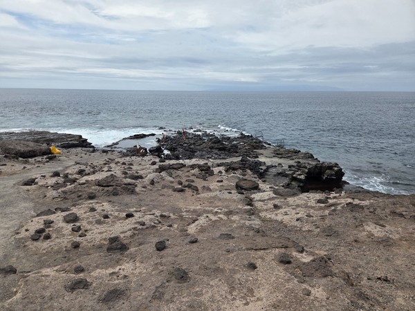 Plateforme rocheuse volcanique d’El Marquéz à Costa Adeje avec vue sur l’Atlantique et les piscines naturelles.