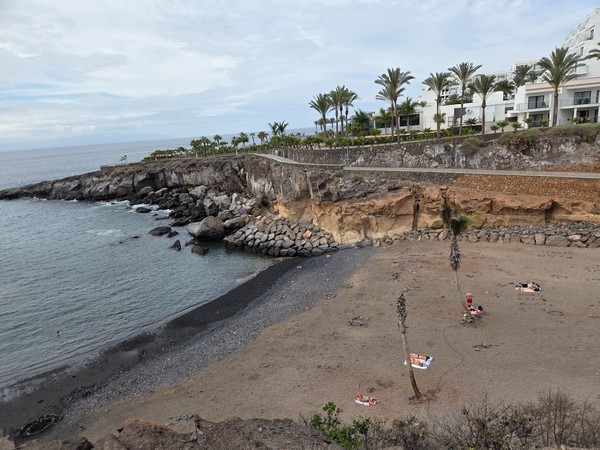 Vue panoramique depuis la falaise sur Playa Las Galgas à Costa Adeje, crique de sable volcanique entourée de falaises et palmiers.