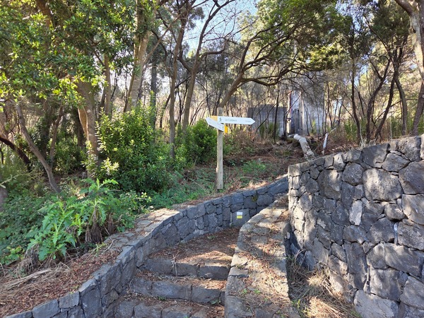 Escaliers et murets en pierre basaltique bordant un sentier forestier.