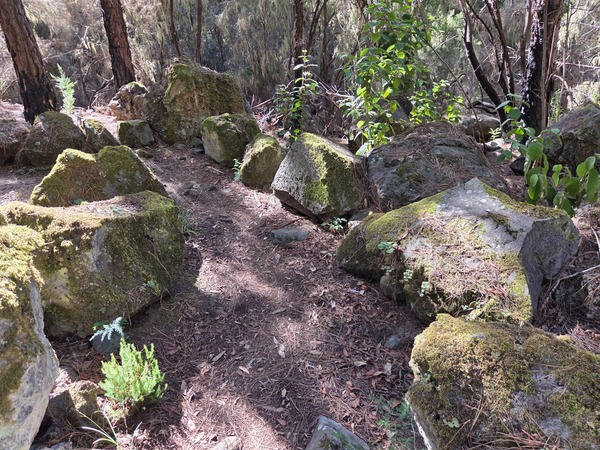 Blocs de roche couverts de mousse formant une petite clairière au bord du sentier.