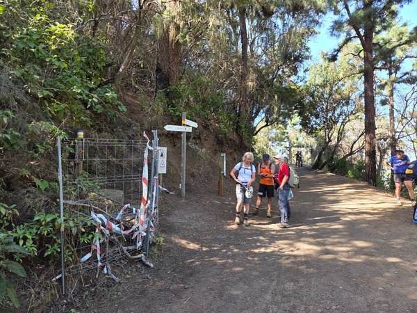 Groupe de randonneurs à un carrefour forestier, à côté d’un poteau directionnel.