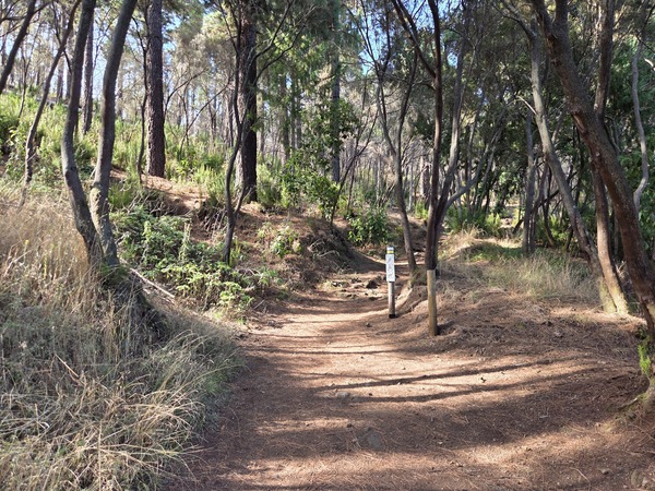Chemin forestier avec un piquet de balisage indiquant l’itinéraire pédestre.