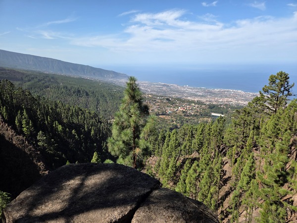Panorama sur la vallée de La Orotava et l’océan Atlantique depuis un promontoire rocheux au-dessus des pins.