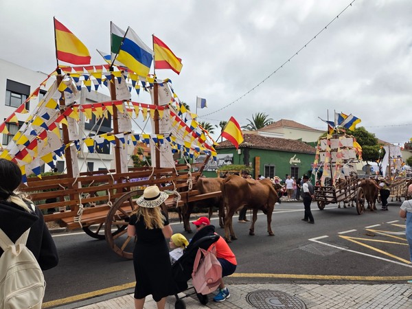 Char à bœufs décoré de guirlandes et de drapeaux au début de la Romería de San Benito Abad à La Laguna.