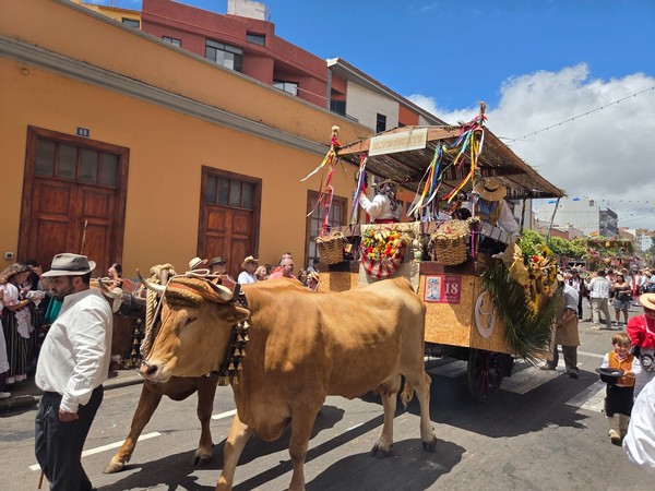 Grand char à bœufs décoré de paniers, fruits et rubans colorés au cœur de La Laguna.