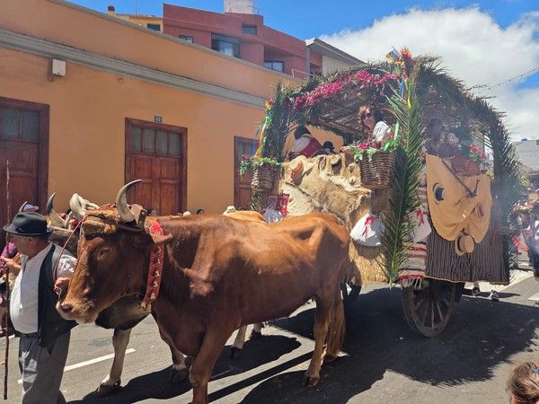 Char rural avec peaux et paniers, tiré par une paire de bœufs aux harnais traditionnels.
