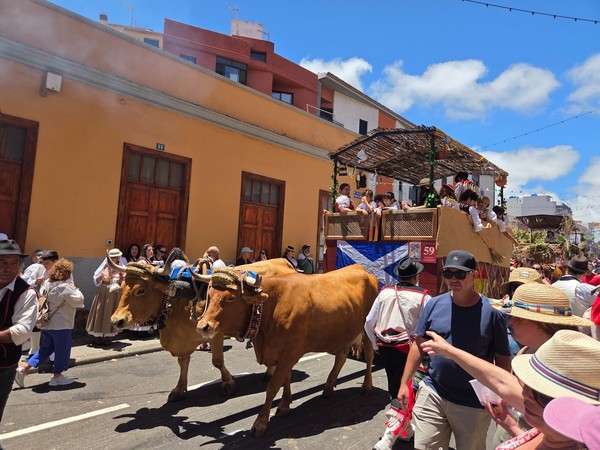 Char familial tiré par deux bœufs, enfants à bord et décor végétal, lors de la Romería de San Benito Abad.